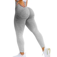 【CC】 Push Up Seamless Leggings Tights Ombre Gym Pants Tummy Gradient Workout Leggins