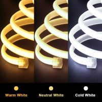 50m 30m 10m COB Strip Light 220V 288LEDs/m High Bright Flexible Tape LED Ribbon with EU Power Plug for Indoor Outdoor Lighting LED Strip Lighting