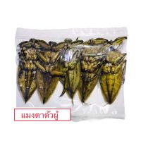 ?สินค้าขายดี? [5 ตัว]เครื่องปรุงรส 5 ตัว แมงดา แมงดานาตัวผู้ แมงดาผู้ กลิ่น หอม ฉุน ทำน้ำพริก