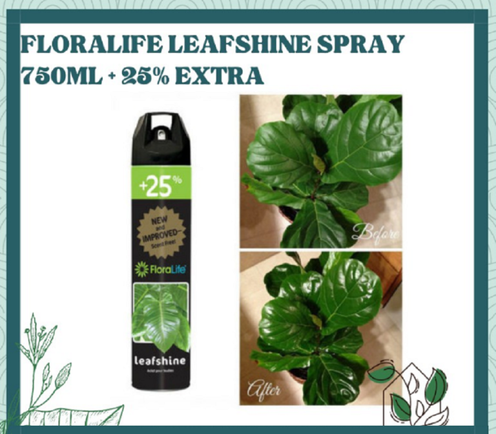 [READY STOCK] Midorie Leaf Shine Spray 750ml EXTRA 25 ADD ON Lazada