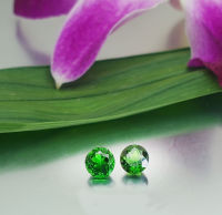 Dazzling Mint Green Chrome Diopside/Genuine Lustrous Vivid Green Round Cut 6x3mm/Loose semiprecious Colored Gemstone/2 Pieces Set