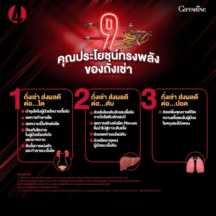 ถั่งเช่า-กิฟฟารีน-สายพันธุ์ทิเบตแท้-ถั่งเช่าออแกนิค-ชนิดแคปซูล