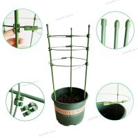 Garden Plant Bracket Holder Climbing Vine Rack Potted Support Frame Plastic Coated Steel Vegetables Decorative Trellis WB5TH