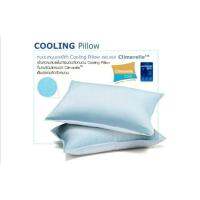 Jessica เจสสิก้า หมอนเจลเย็น (Cooling Pillow) หมอนเพื่อสุขภาพ ผสมยางพารา คูลลิ่งเจลจากเยอรมัน