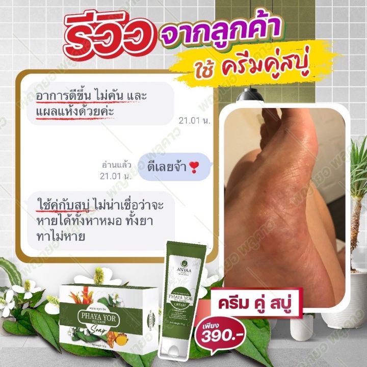 ครีม1หลอด-290-ครีมพญายอพลูคาว-บริษัทรีมแก้คัน-เชื้อรา-ของแท้จาก