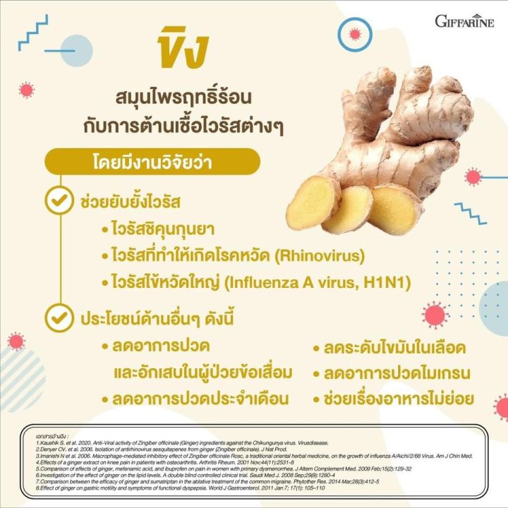 จินเจอร์-ซี-กิฟฟารีน-ขิง-สกัดเข้มข้น-ginger-c-giffarine-อาหารเสริมเพื่อสุขภาพอื่นๆ-การย่อยอาหารและตับ