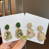 Sweet Girl Earrings 2020 Korean Fashion New Earrings Temperament Simple Crystal Earrings Women 39;s Clothing Factory Wholesale