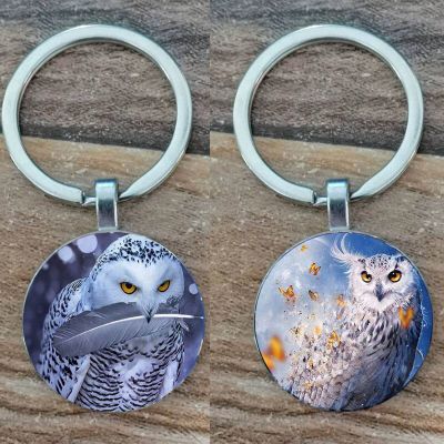 Owl Alloy Keychain. Key Chain Animal Pictures Men And Women Key Ring Key Chains