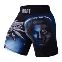 Cody Lundin Mens MMA Shorts Custom OEM Design Training Wear Fashion Sport Pants