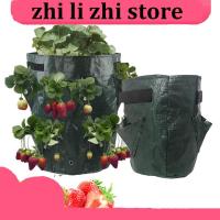 zhilizhi Store 5 7 10 Gallon PE Strawberry Planter Grow Bags Potato Pot Gardening Pots Flower Veg Tomato Planting Tools Container