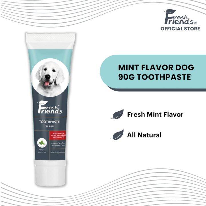 Fresh Friends Dog Toothpaste Mint Flavor 90g Natural Toothpaste for