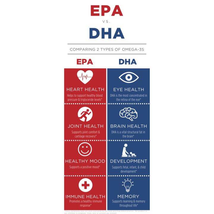 ดีเอชเอ-dha-enteric-coated-500-mg-90-quick-release-softgels-pipingrock-high-potency-piping-rock