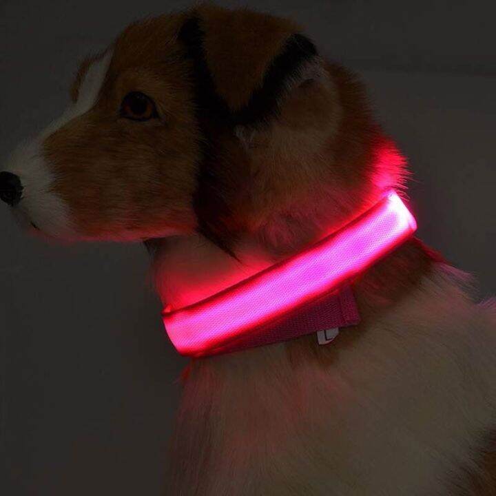 pets-baby-สายจูงสุนัขไนล่อน-led-สำหรับสัตว์เลี้ยงปลอกคอเรืองแสงตอนกลางคืนเพื่อความปลอดภัยสายจูงสุนัขแมวที่ปรับได้อุปกรณ์เสริมสำหรับสัตว์เลี้ยงมี7สี