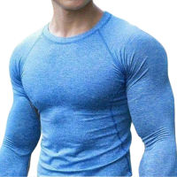 Men Quick Dry Fitness Tees Outdoor SPORT Running Climbing Long Sleeves Solid Color Shirt Tights Bodybuilding Tops Men Under Skin