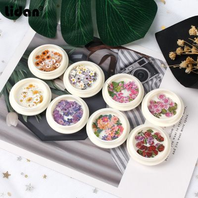 ﹍✺ New manicure wood pulp sheet color sticker flower daisy ins imitation dried flower nail jewelry nail patch