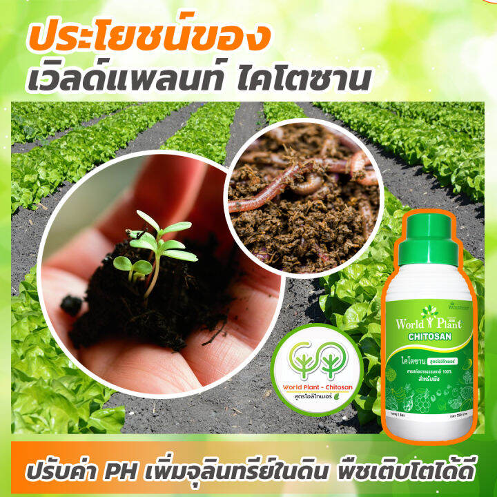 เวิลด์แพลนท์-ไคโตซาน-world-plant-chitosan-ปุ๋ยน้ำ-สูตรโอลิโกเมอร์-เพิ่มผลผลิต-เป็นมิตรกับเกษตรกร