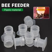 10Pcs พลาสติก Beehive Beekeeper Bee Feeder เครื่องดื่มให้อาหารน้ำพุ Beekeeping Apiculture Tool