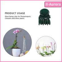 II-AURORA หนีบพลาสติก100ชิ้น Phalaenopsis Graft ที่หนีบก้านดอกกล้วยไม้แบบเครื่องมือทำสวนสะดวกคลิปช่วยพยุงต้นเถาคลิปพืช