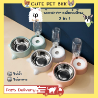 ?Cute Pet BKK? ถ้วยอาหารสัตว์เลี้ยง ถ้วยอาหารแมว ถ้วยอาหารหมา ชามข้าวแมว ชามข้าวสัตว์เลี้ยง ที่ให้อาหารแมว ที่ให้อาหารสัตว์เลี้ยง 2in1