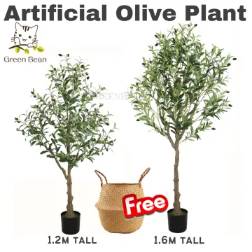 Hot Sale Artificial Trees for Outdoor Artificial Olive Tree Artificial  Olive Tree Plant - China Olive Tree and Tree Plant Price price