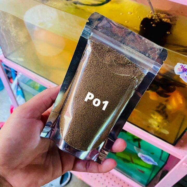 100G PO1 SINKING PELLETS FISH FOOD Lazada PH