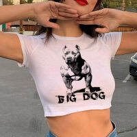 Pitbull Fairycore Cropie เสื้อผ้าที่ถูกตัดเก็ตบูลวินเทจ
