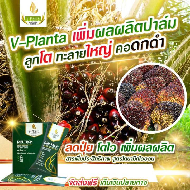 v-planta-วีแพลนท์ต้า-ของแท้-2-ซอง-ราคา-900-บาท-สารเสริมเพิ่มประสิทธิภาพทางการเกษตร-สูตรใหม่-ไดนามิคไอออน-1