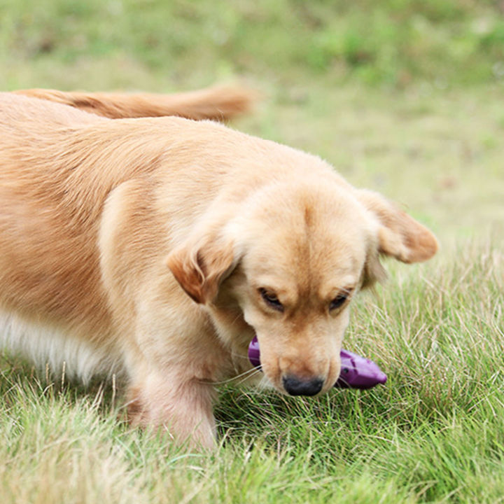 ของเล่นมะเขือยาวเทียมผิววัวทนทานต่อสวมใส่เรียบ-ของเล่นสุนัขไนลอนสำหรับสุนัขลูกสุนัขของเล่นที่กัด