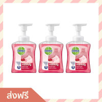 ?แพ็ค3? โฟมล้างมือ Dettol ขนาด 250 มล. หอมละมุน สูตรโรสแอนด์เชอร์รี่ - สบู่ล้างมือ สบู่เหลวล้างมือ สบู่โฟมล้างมือ น้ำยาล้างมือ สบู่เหลวล้างมือพกพา สบู่ล้างมือพกพา สบู่ล้างมือฆ่าเชื้อโรค เดทตอล เดตตอล เดลตอล hand wash