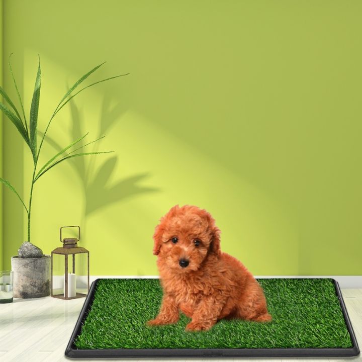 แผ่นขับถ่ายสำหรับสัตว์เลี้ยงหญ้าเทียมโถส้วมห้องน้ำฉี่สุนัขพร้อมหญ้าเหมือนจริง-สุนัขพร้อมหญ้าเหมือนจริงสำหรับสุนัข