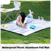 Double-Sided Camping Mat Aluminum Foil Picnic Beach Mat Moisture-Proof Waterproof Portable Outdoor Travel Mattress Pad Sleeping Pads