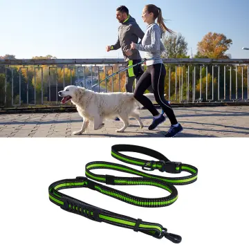 Dog Waist Leash - Best Price in Singapore - Dec 2023