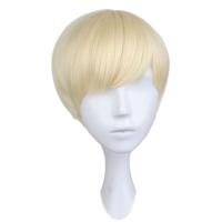 【jw】﹍✟ QQXCAIW Short Straight Men Boy Blonde 30 Cm Synthetic Hair Wigs