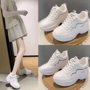 giày độn đế vạch sóng K.O On Air Shoes OAS48 Giày Độn Đế Vạch Sóng K.O cá