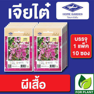 เมล็ดพันธุ์ ดอกไม้ เจียไต๋ CT25 ผีเสื้อ บรรจุแพ็คล่ะ 10 ซอง ราคา 160 บาท