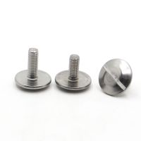 GB947 M2 M2.5 M3 M4 M5 M6 304 Stainless Steel Extra Large Truss Round Head Slotted Screw Bolt