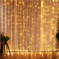 （roast chicken）1X3 2X2 2X3 3X3M คริสต์มาส Garland Fairy ไฟ Led 2.5M ผ้าม่าน Icicle LED String Light สำหรับคริสต์มาสปีใหม่ตกแต่ง