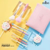 Perfect brush odbo beauty tools OD8-193 ชุดเซตแปรงแต่งหน้า โอดีบีโอ