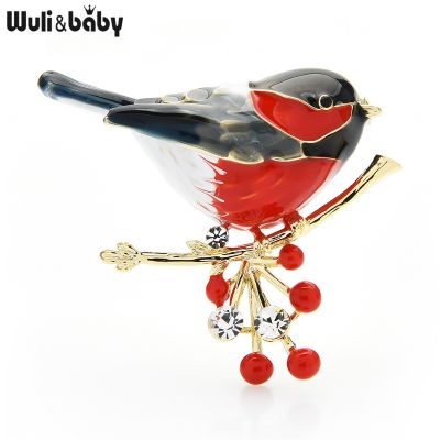 【CW】 Wuli amp;baby 2021 Multicolor Brooch Pins Enamel Ainmal Brooches New Year Designer Jewelry Pyrrhula pyrrhula