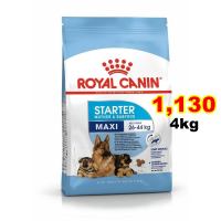 Royal canin Maxi starter 4kg สูตรแม่สุนัขพันธุ์ใหญ่ตั้งท้อง และลูกสุนัขหย่านม Exp.10/2023