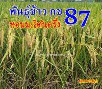 พันธุ์ข้าวกข87ชุด5กก.