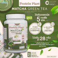 Protein Plant โปรตีนแพลนท์ สูตร 3 (รสชาเขียว มัทฉะ) 900 กรัม/กระปุก (2 ปอนด์ 2LBS) ทานได้ 18 ครั้ง โปรตีนพืช 5 ชนิด คอลลาเจนเปปไทด์ แอลกลูต้าไธน