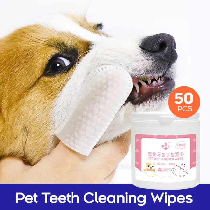 are puppy wipes safe