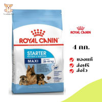 ✨[[จัดส่งฟรี]]Royal Canin ลูกสุนัข สูตร Maxi Starter เม็ดใหญ่  ขนาด 4 กิโลกรัม เก็บเงินปลายทาง ✨