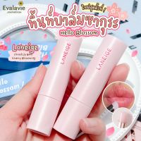 LANEIGE Cherry Blossom Tinted Lip Balm