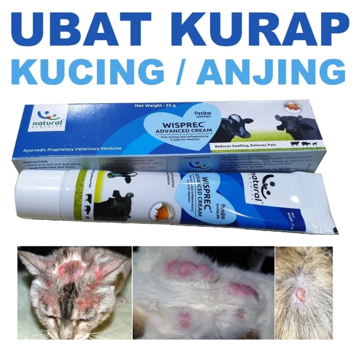 New Promo Ubat Kurap Krim Sapu Anti Bakteria Fungus Kudis Gatal Ruam Kucing Anjing Pet Cat Fungus Herbs Wisprec Cream 25g Lazada