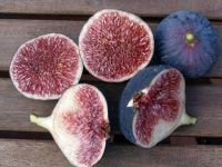 Figs ต้นมะเดื่อฝรั่ง พันธุ์ Dauphine (ดอร์ฟิน) อร่อย หวาน หอมมากๆ ต้นสมบูรณ์มาก รากแน่นๆ จัดส่งพร้อมกระถาง 6 นิ้ว ลำต้นสูง 45-50 ซม ต้นไม้แข็งแรงทุกต้น เรารับประกันจัดส่งห่ออย่างดี จัดส่งสินค้าตามรูป