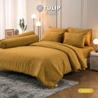 (NEW) TULIP ชุดเครื่องนอน ผ้าปูที่นอน ผ้าห่มนวม รุ่นTULIP Delight สีพื้นอัดลาย DL572 มีลายนูนเบาๆ บนเนื้อผ้าสัมผัสได้