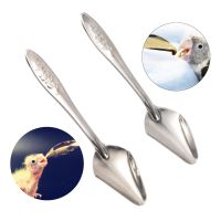 ♘♛ Bird Parrot Feeding Spoon Stainless Steel Water Milk Powder Feeder Spoons Bird Supplies Baby Bird Feeding Spoon 4 Pcs