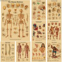 Ultra รายละเอียด Retro Anatomy และ Physiology Kraft Canvas Skeleton โปสเตอร์ Perfect สำหรับ Medical Room Decor Art Wall ภาพวาด